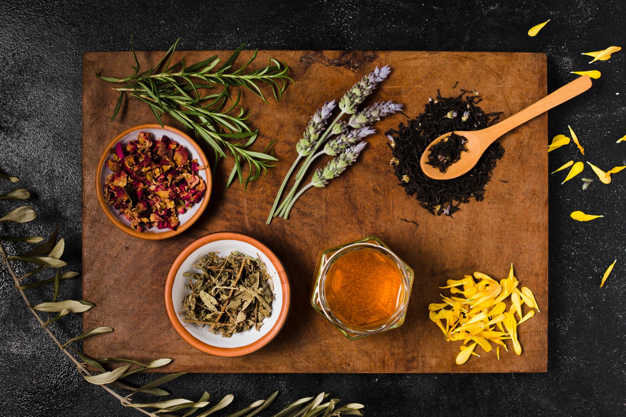 Hierbas y especias medicinales